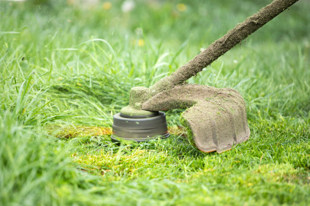 Скосить траву! Это к нам