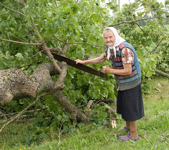 Распил упавших деревьев: методы, оборудование и техника безопасности