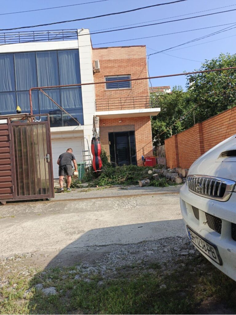 Спил дерева возле дома