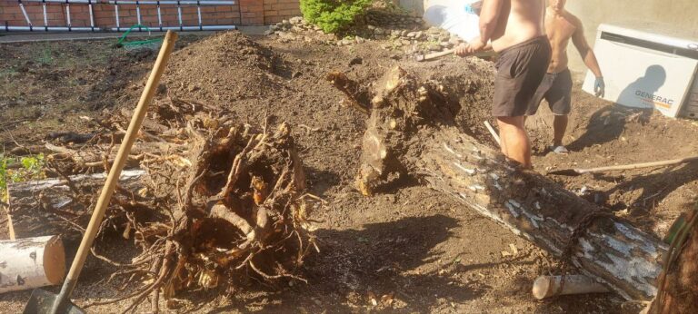 Процес спилу дерева та викорчовування пня в Одесі: робітники вручну видаляють коріння і стовбур, підготовка ділянки до благоустрою — послуги спил.укр